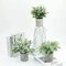 3 Frosted Green Gray 9" Assorted Mini Potted Artificial Plants Party Decorations